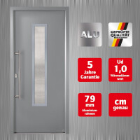 Aluminium-Haustür · Hochwertig · Sicher & Energiesparend · Modell: A629-3D-S2 · Farbe: Grau RAL 7001 · Maßanfertigung cm genau · inklusive hochwertigem Griffset· Serie: A600-3D-S2