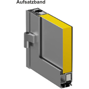 3D Aufsatz-Türbänder in F1 in Silber oder...